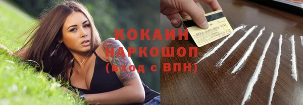 прущая мука Вяземский