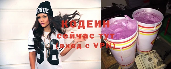 прущая мука Вяземский