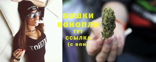 прущая мука Вяземский