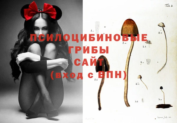 прущая мука Вяземский