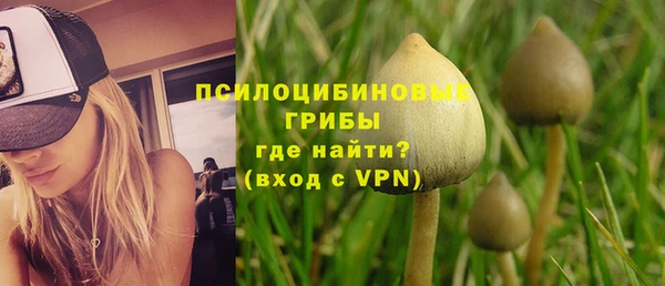 прущая мука Вяземский