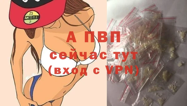 МДПВ Волоколамск
